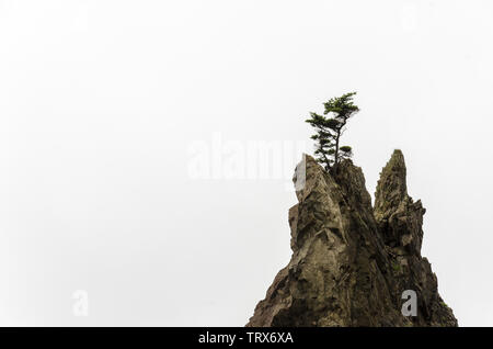 Pic rocheux avec un seul arbre sur elle, sur un fond blanc Banque D'Images