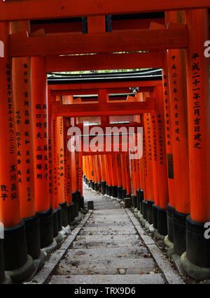 Tori rouge Gate au Sanctuaire Fushimi Inari à Kyoto, au Japon. Banque D'Images