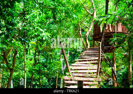 Hut bois et journal de passerelle a été construite dans la forêt de l'aventure de l'activité du scoutisme Banque D'Images