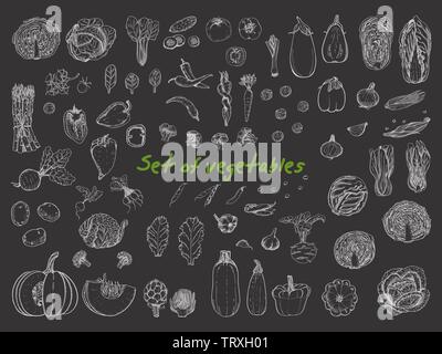 Grand ensemble avec des légumes dans un style croquis. Pour votre conception d'illustration vectorielle Illustration de Vecteur
