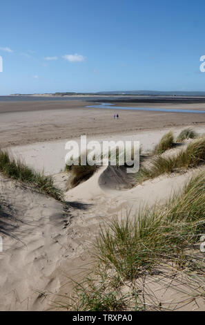 À partir de sables bitumineux de la rivière Taw Instow partout à Braunton Burrows, Devon, England, UK Banque D'Images