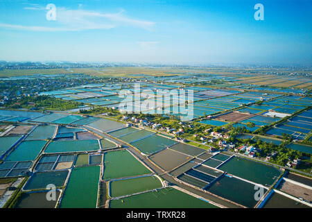 Image aérienne de grandes fermes d'élevage de crevettes dans la région côtière de Giao Thuy, Vietnam. Banque D'Images