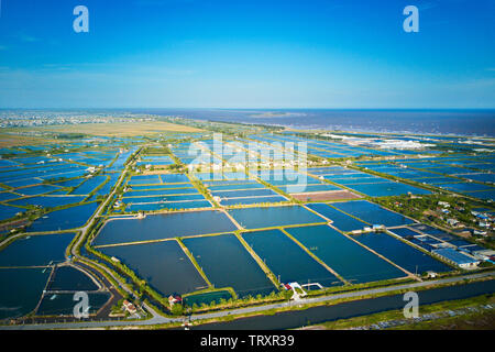 Image aérienne de grandes fermes d'élevage de crevettes dans la région côtière de Giao Thuy, Vietnam. Banque D'Images