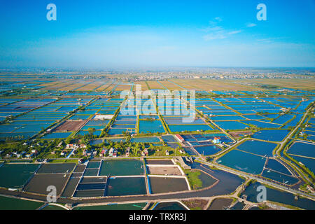 Image aérienne de grandes fermes d'élevage de crevettes dans la région côtière de Giao Thuy, Vietnam. Banque D'Images