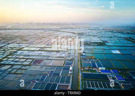 Image aérienne de grandes fermes d'élevage de crevettes dans la région côtière de Giao Thuy, Vietnam. Banque D'Images