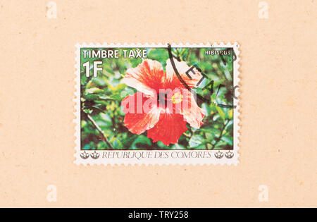 Comores - circa 1980 : timbre imprimé dans les îles Comores montre une fleur, vers 1980 Banque D'Images