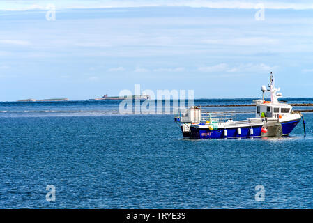 Bateau de pêche amarré au bord de l'île Sainte dans une baie abritée avec les îles Farne en arrière-plan Northumberland Angleterre Royaume-Uni Banque D'Images