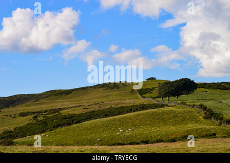 Vue de l'ensemble du parc Y Moel Clwydian Chaîne de montagnes au nord-est du pays de Galles près de Snowdonia, Banque D'Images