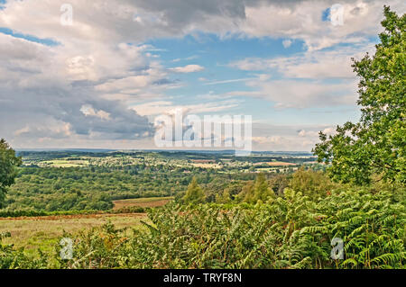 La forêt d'Ashdown (East Sussex, Angleterre) : Vue depuis le sud Banque D'Images