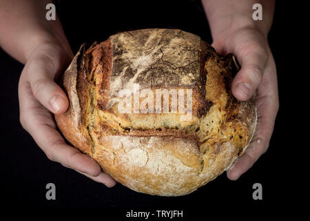 (Pain) miche ou de levain français, appelé ainsi que la douleur de campagne, sur l'affichage isolé sur un fond noir des mains. Pain de Campa Banque D'Images