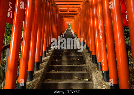 Torii, portes à un sanctuaire Shinto à Tokyo Banque D'Images