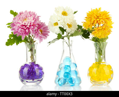 De belles fleurs en pot avec de l'hydrogel Banque D'Images