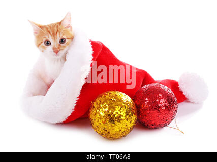 Petit Chaton in Christmas hat isolated on white Banque D'Images