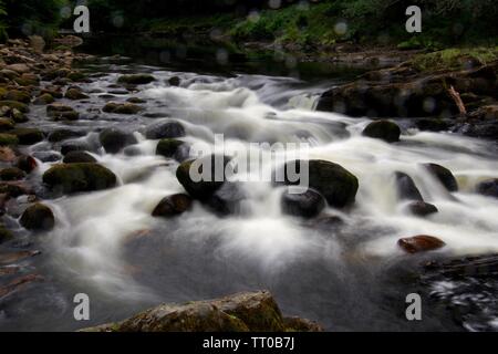 Paysage intime de la rivière Dart sur les rochers de granit en cascade à Rapids dans Holne Bois. Dartmoor National Park, Devon, UK. Banque D'Images