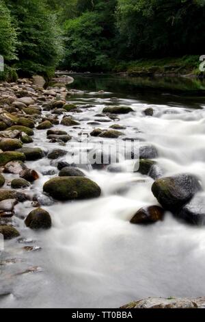 Paysage intime de la rivière Dart sur les rochers de granit en cascade à Rapids dans Holne Bois. Dartmoor National Park, Devon, UK. Banque D'Images