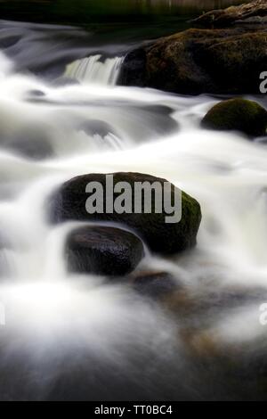 Paysage intime de la rivière Dart sur les rochers de granit en cascade à Rapids dans Holne Bois. Dartmoor National Park, Devon, UK. Banque D'Images