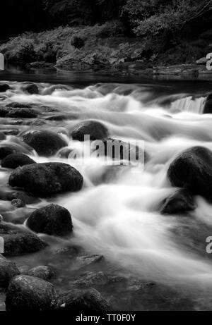 Paysage intime de la rivière Dart sur les rochers de granit en cascade à Rapids dans Holne Bois. Dartmoor National Park, Devon, UK. Banque D'Images