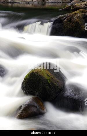Paysage intime de la rivière Dart sur les rochers de granit en cascade à Rapids dans Holne Bois. Dartmoor National Park, Devon, UK. Banque D'Images