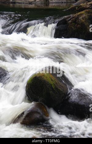 Paysage intime de la rivière Dart sur les rochers de granit en cascade à Rapids dans Holne Bois. Dartmoor National Park, Devon, UK. Banque D'Images