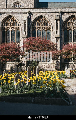 Cromer, UK - 20 Avril 2019 : Floraison fleurs en face d'une église située à Cromer, une ville balnéaire dans la région de Norfolk et d'une maison de famille populaire Gam Banque D'Images