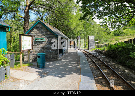 Sur la station Dolgoch Talyllyn Railway, le premier chemin de fer conservés dans le monde, s'étend de Tywyn à Nant Gwernol, Gwynedd, Pays de Galles, Royaume-Uni Banque D'Images