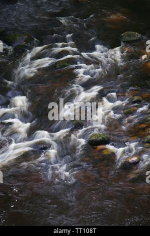 Regardant vers le bas sur une section de rapides le long de la rivière Dart, Holne Woods, Dartmoor National Park, Devon, UK. Banque D'Images