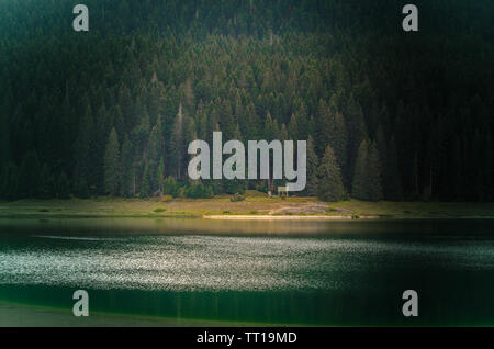 Lac sur l'arrière-plan d'une épaisse forêt de pins Banque D'Images