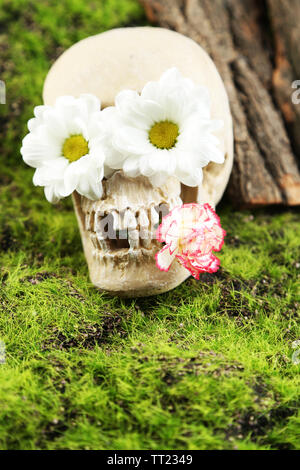 Crâne avec des fleurs sur fond d'herbe verte Banque D'Images