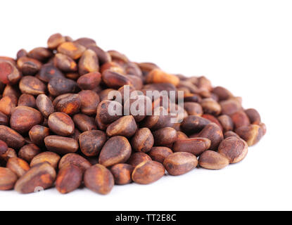 Cedar pine nuts isolated on white Banque D'Images