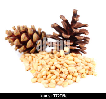 Cedar pine nuts isolated on white Banque D'Images