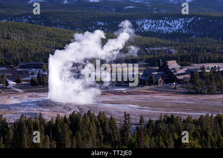Old Faithful Geyser éclate dans le Parc National de Yellowstone. Banque D'Images
