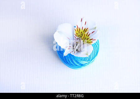 Fleurs fraîches et clew colorés sur fond clair Banque D'Images