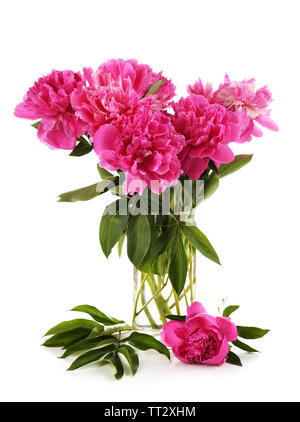 Belles pivoines rose vase en verre, isolated on white Banque D'Images