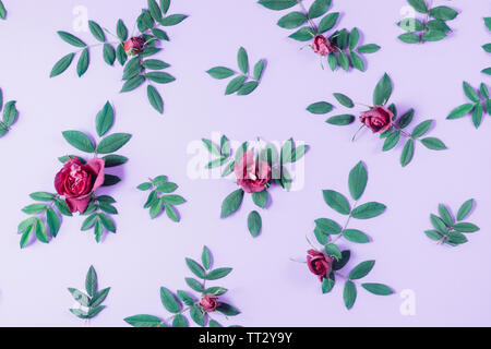 Concept minimal d'été. Motif de fleurs rose rouge et vert peu feuilles sur fond violet. De nombreuses petites feuilles pour la décoration de toute carte post Banque D'Images