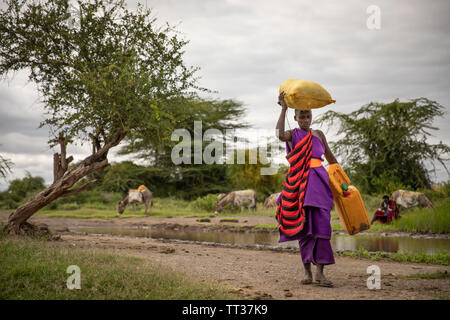 Même, la Tanzanie, le 8 juin, 2019 : masaï arrivant à un flot boueux de laver son linge et chercher de l'eau potable Banque D'Images