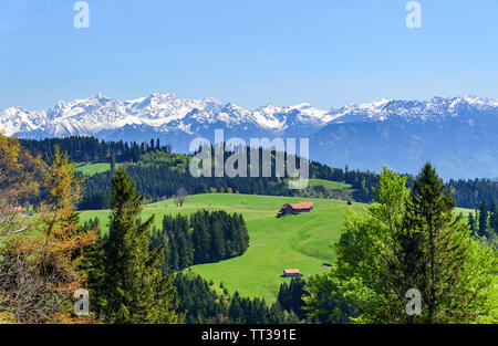 Paysage typique dans l'est de la Suisse Banque D'Images