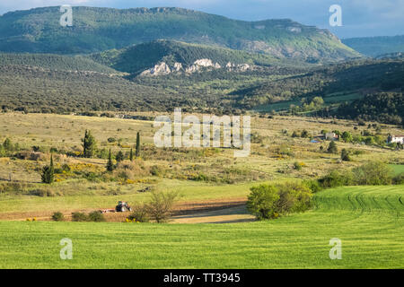 Campagne,voir,de,agriculture,de,champs Rennes-le-Chateau,Aude,province,,préfecture district,sud,de,France,Sud France,Occitanie,français, Banque D'Images