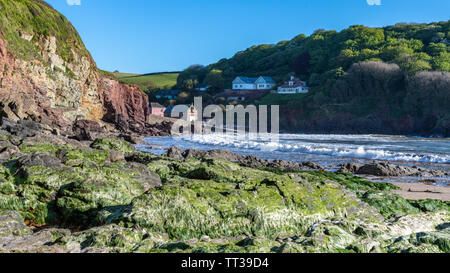 Avis de Hope Cove, Devon Banque D'Images