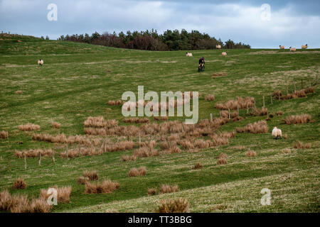 Un homme monte un touring bike off road dans le Parc National de Northumberland. Banque D'Images