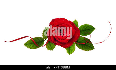 Rose rouge fleur et ruban de soie dans un arrangement floral isolated on white Banque D'Images