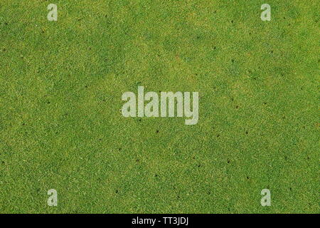 Pelouse aérée, putting green de golf sur fond d'entretien - jardinage. Banque D'Images