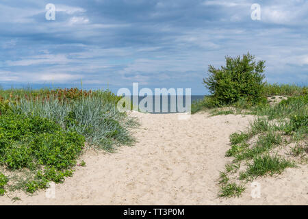 Mer, plage et dunes de sable de Sopot près de Gdansk en Pologne. Banque D'Images