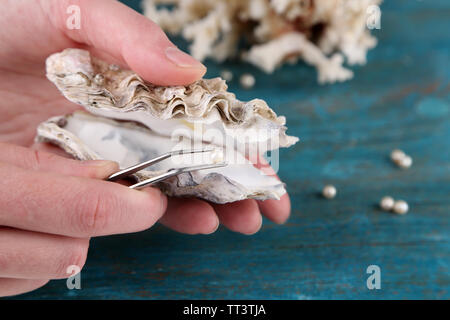 La main avec une pincette holding pearl oyster et sur fond de bois Banque D'Images