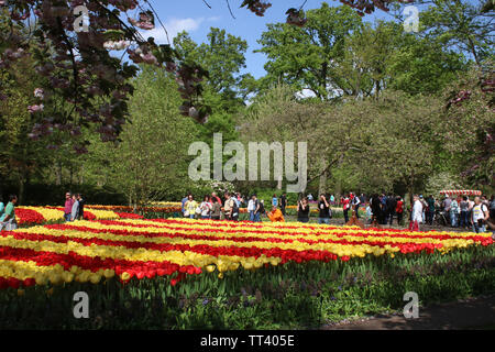 Masses de tulipes rouges et jaunes en pleine floraison à jardins de Keukenhof, aussi connu comme le jardin de l'Europe, près de Lisse, Hollande méridionale, Pays-Bas Banque D'Images