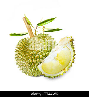 Durian fruit et feuilles vert isolé sur fond blanc. Banque D'Images