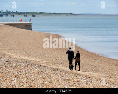 Sheerness, Kent, UK. 14 Juin, 2019. Royaume-uni : un temps ensoleillé et chaud après-midi à Sheerness, Kent. Credit : James Bell/Alamy Live News Banque D'Images