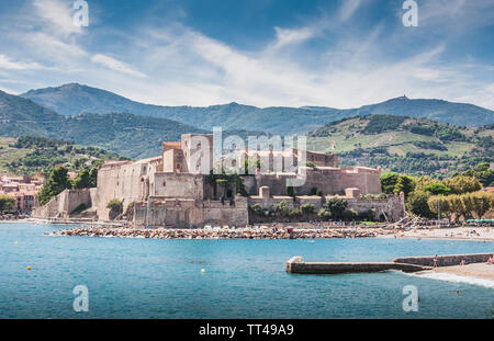 Château Royal de Collioure sous ciel bleu dans les Pyrénées-Orientales, France Banque D'Images