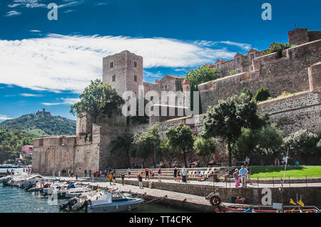 Château Royal de Collioure sous ciel bleu dans les Pyrénées-Orientales, France Banque D'Images