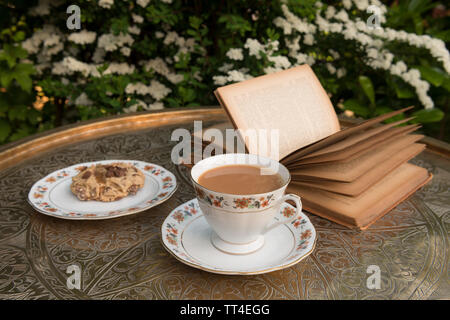 Très belle, un bon lire un jour d'été avec une tasse de thé et biscuits biscuits maison, thé, collation, pause Banque D'Images