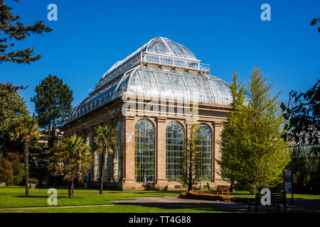 Cour intérieure et le fossile Europe Palm House au Royal Botanic Garden, Édimbourg, Écosse. Banque D'Images